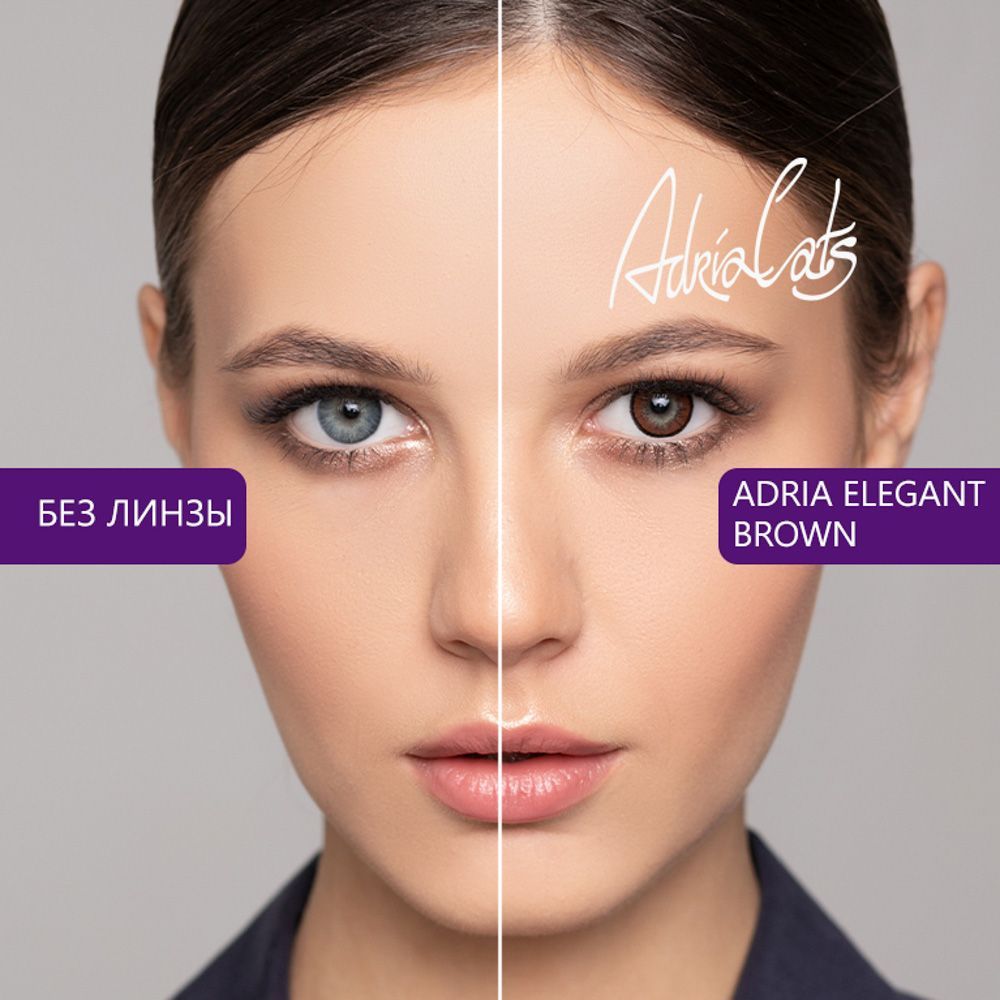 Adria Цветные линзы Elegant Brown квартальные, 0.00, 8.6, 2 шт.