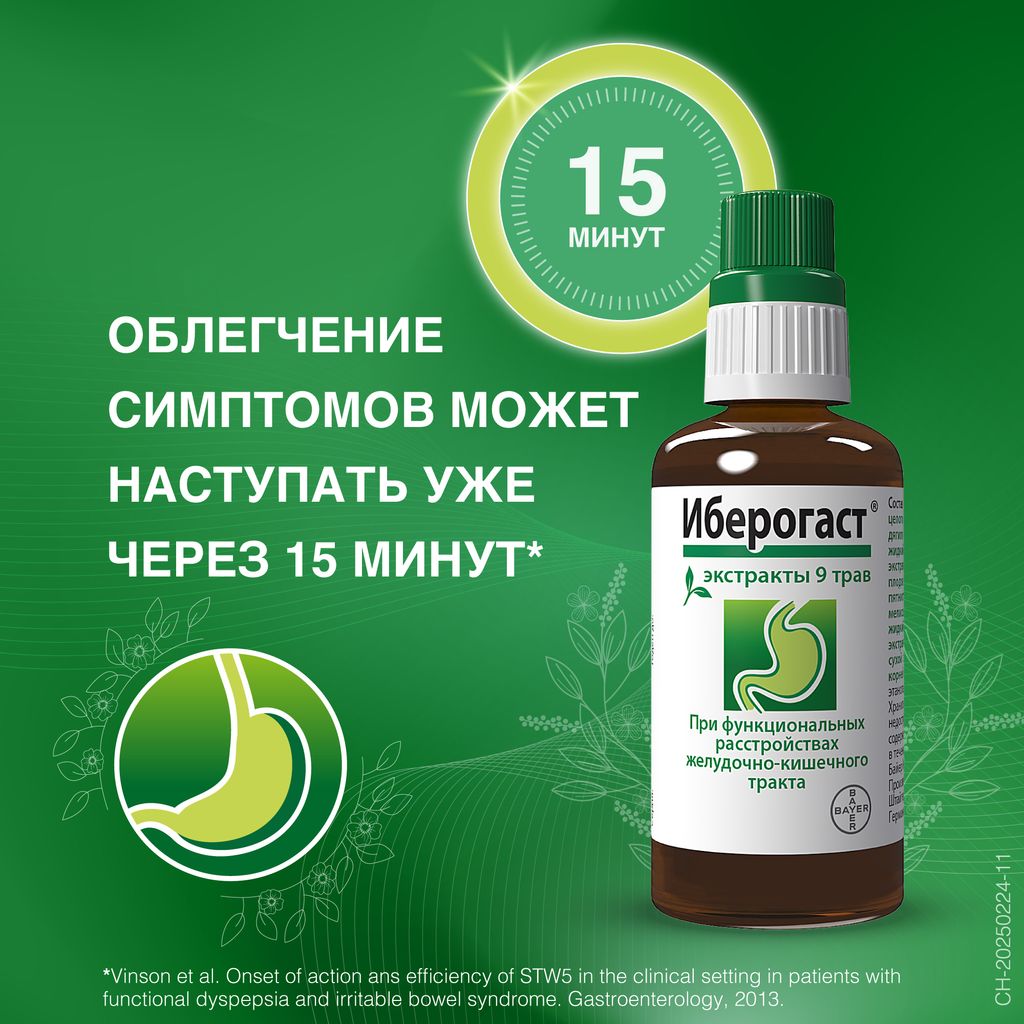 Иберогаст, капли для приема внутрь, 100 мл, 1 шт.